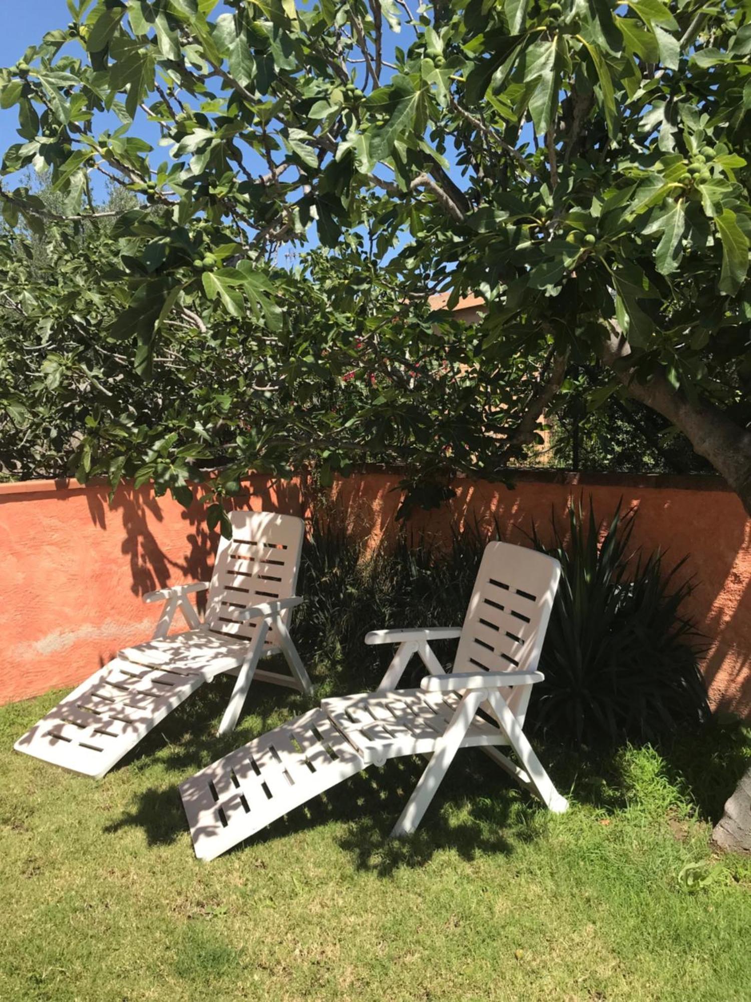 B&B Da Tizy San Teodoro  Eksteriør billede
